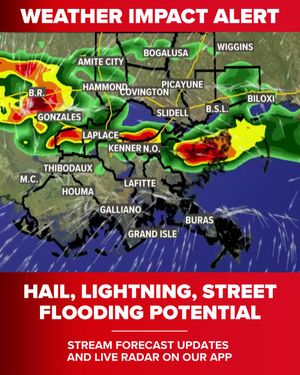 Image post by @wwltv on Instagram