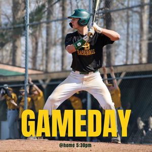 Image post by @wildcatbaseball_gbhs on Instagram