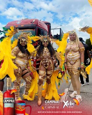 Image post by @jamaicagleaner on Instagram