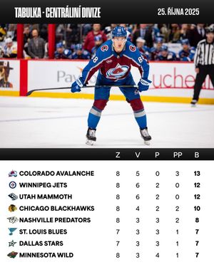 Image post by @nhlcesko on Instagram