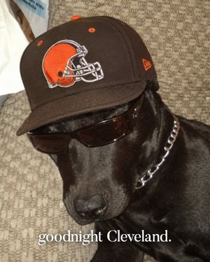 Image post by @Browns on Twitter/X