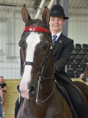 Image post by @usequestrian on Instagram