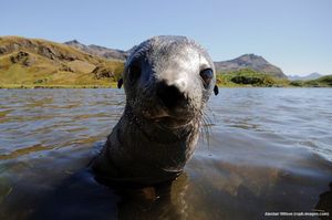 Image post by @rspb on Instagram