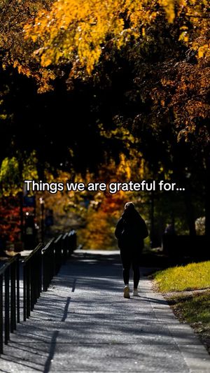 Video post by @universityofky on TikTok