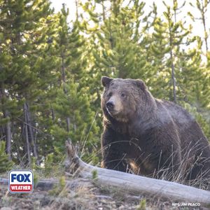 Image post by @foxweather on Instagram