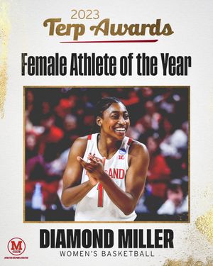 Image post by @umterps on Twitter