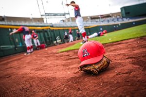 Image post by @ZonaZooOfficial on Twitter