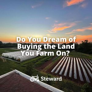 Image post by @steward on Instagram