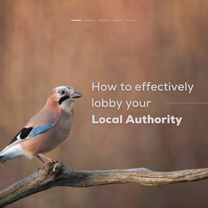 Image post by @rspb on Instagram