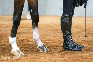 Image post by @theplaidhorsemag on Instagram