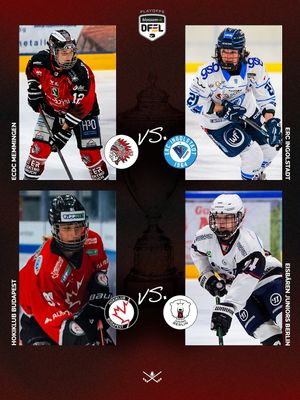 Image post by @bullydereishockeypodcast on Instagram