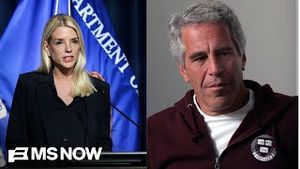 Video post by @msnbc on YouTube