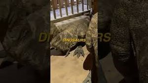Video post by @connoraidan on YouTube