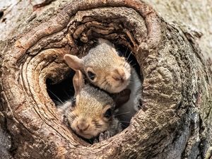 Image post by @animalplanet on Instagram