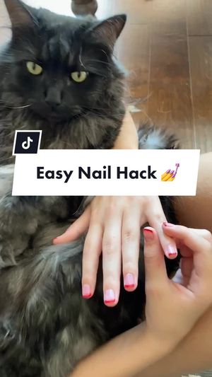 Video post by @livinglocurto on TikTok