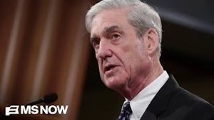Video post by @msnbc on YouTube