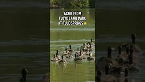 Video post by @cityoflasvegas on YouTube