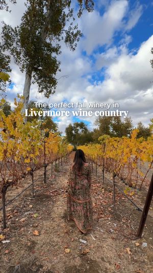 Video post by @visitcalifornia on Instagram