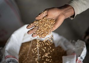 Image post by @ellemenhk on Instagram