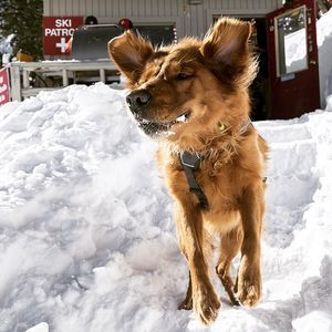 Image post by @skitaos on Instagram