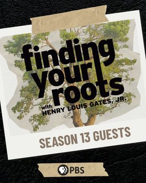 Video post by @findingyourroots on TikTok