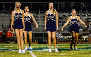 Image post by @brynnthepommie on Instagram