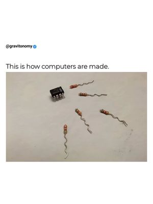 Image post by @gravitonomy on Instagram