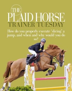 Image post by @theplaidhorsemag on Instagram