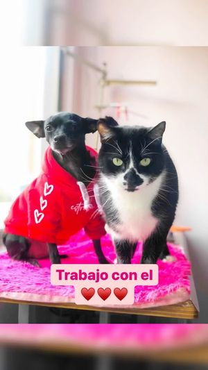 Video post by @babaamstore on Instagram