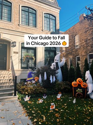 Video post by @chicago.by.ren on TikTok