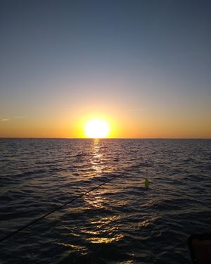 Image post by @txextension on Instagram