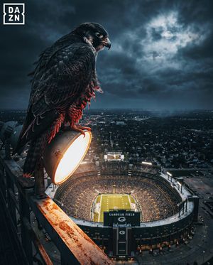 Image post by @nflondazn on Instagram