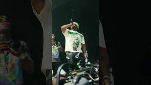Video post by @Respective Collective on YouTube