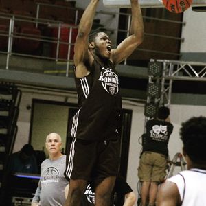 Image post by @gobonnies on Instagram