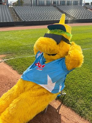 Image post by @thechicagodogs on Instagram