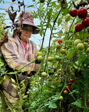 Image post by @hafafarmers on Instagram