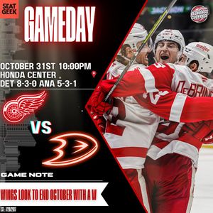 Image post by @redwingscoverage on Instagram