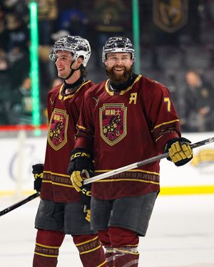 Image post by @theahl on Instagram