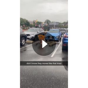 Video post by @anawigmore on Snapchat