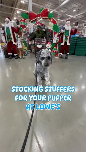 Video post by @lowes on Facebook