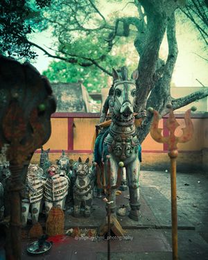Image post by @yogalakshmi_photography on Instagram