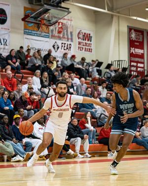 Image post by @iwuwildcats on Instagram