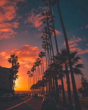 Image post by @xrprelic on Instagram