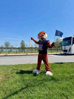 Image post by @aubiethetiger01 on Instagram