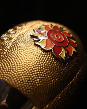 Image post by @fiesta_bowl on Instagram