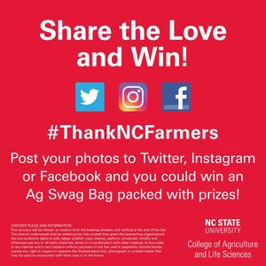 Image post by @ncstatecals on Instagram