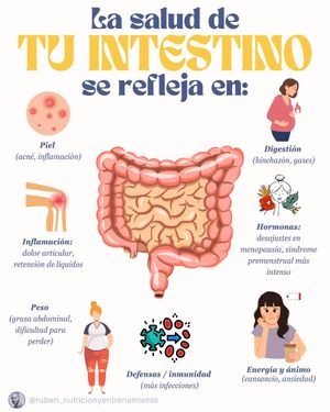 Image post by @ruben_nutricionyentrenamiento on Instagram