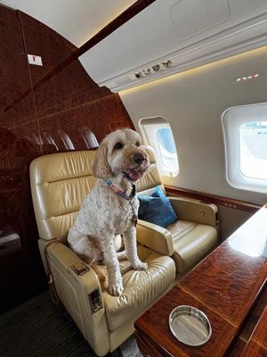 Image post by @acs_aircharter on Instagram