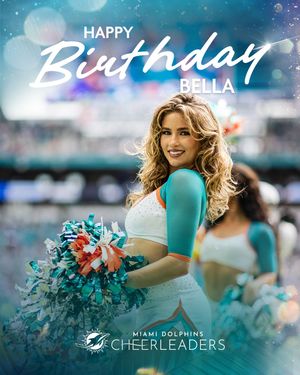 Image post by @dolphinscheer on Instagram