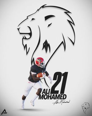 Image post by @arbaut_ on Twitter